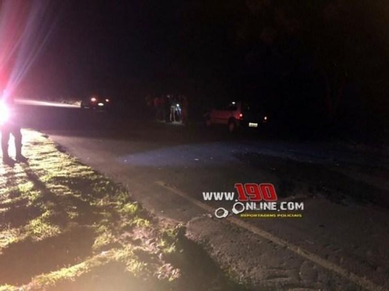 Animal na pista causa acidente com automóvel na RO 383 em Alta Floresta Animal na pista causa acidente com automóvel na RO 383 em Alta Floresta