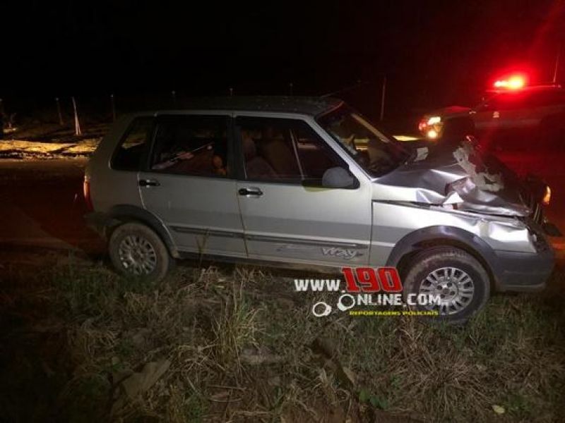 Animal na pista causa acidente com automóvel na RO 383 em Alta Floresta Animal na pista causa acidente com automóvel na RO 383 em Alta Floresta