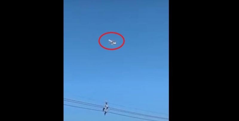 Avião colide com pássaro ao decolar no aeroporto de Guarulhos e turbina pega fogo; veja o vídeo
