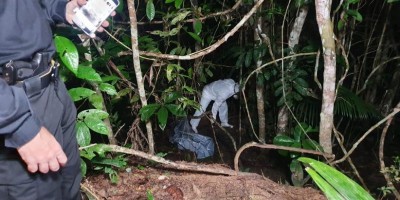 Em Manaus, corpo esquartejado é encontrado sendo devorado por animais