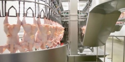 Contaminação em pacote de frango importado do Brasil pela China é 'pouco provável',...