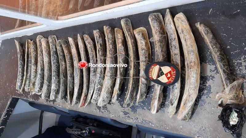 Polícia encontra droga escondida em pneus de bicicletas e passageiro é preso Polícia encontra droga escondida em pneus de bicicletas e passageiro é preso