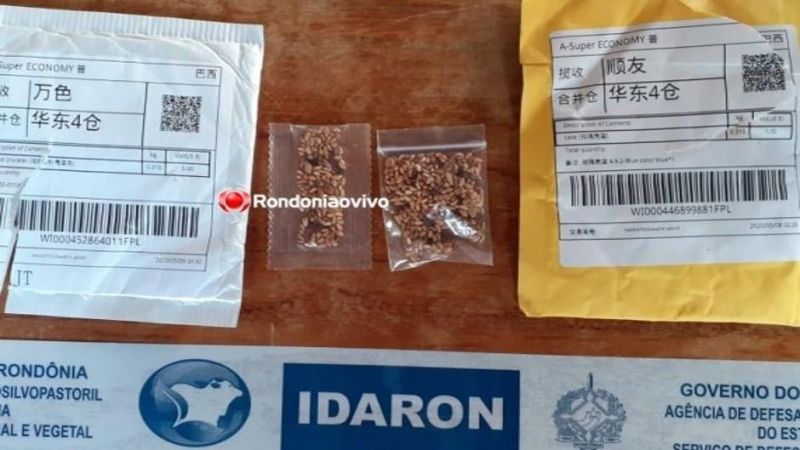 Ministério da Agricultura diz que 17 estados receberam sementes misteriosas pelos Correios Ministério da Agricultura diz que 17 estados receberam sementes misteriosas pelos Correios
