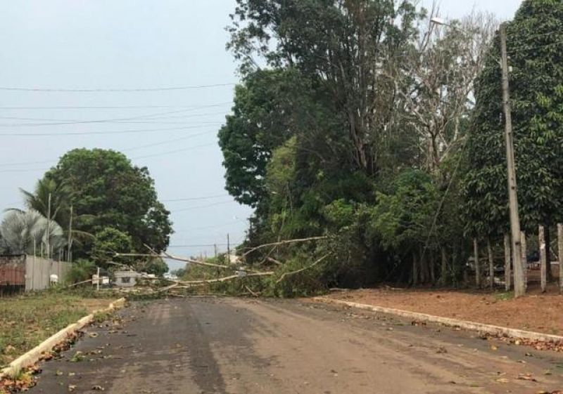 Veja fotos e vídeos: Temporal com granizo causa estrago também em Vilhena Veja fotos e vídeos: Temporal com granizo causa estrago também em Vilhena