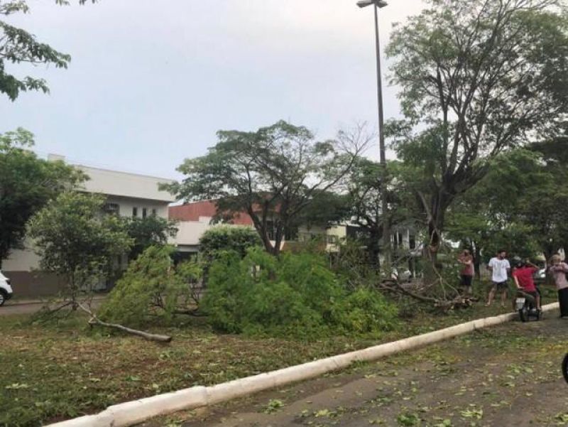 Veja fotos e vídeos: Temporal com granizo causa estrago também em Vilhena Veja fotos e vídeos: Temporal com granizo causa estrago também em Vilhena