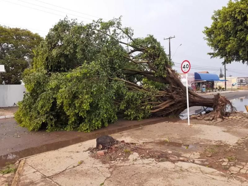 Veja fotos e vídeos: Temporal com granizo causa estrago também em Vilhena Veja fotos e vídeos: Temporal com granizo causa estrago também em Vilhena