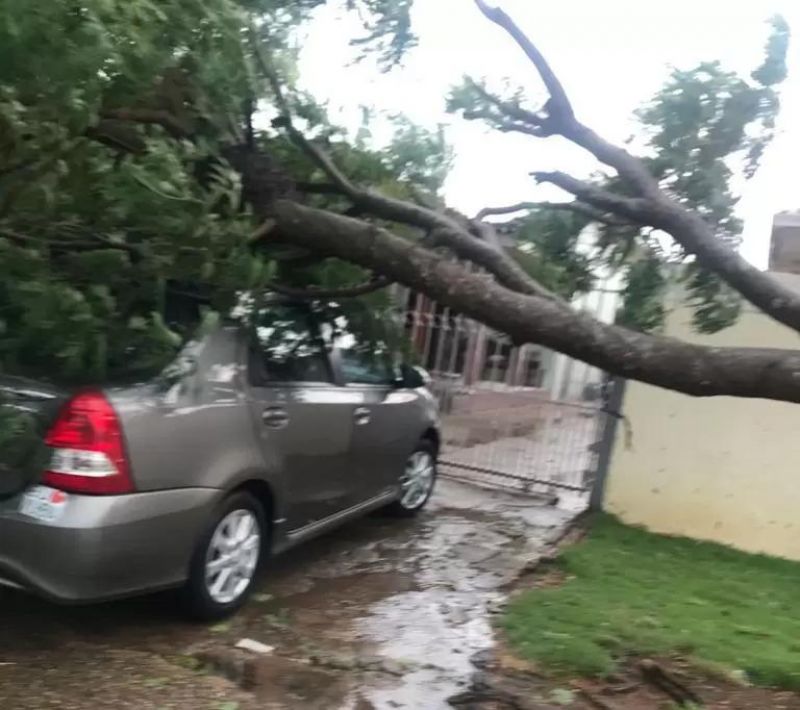 Veja fotos e vídeos: Temporal com granizo causa estrago também em Vilhena Veja fotos e vídeos: Temporal com granizo causa estrago também em Vilhena