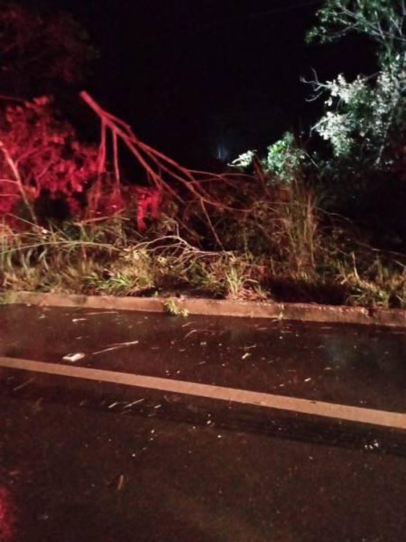 Irmãos morrem em grave acidente na BR-364 em Rondônia Irmãos morrem em grave acidente na BR-364 em Rondônia