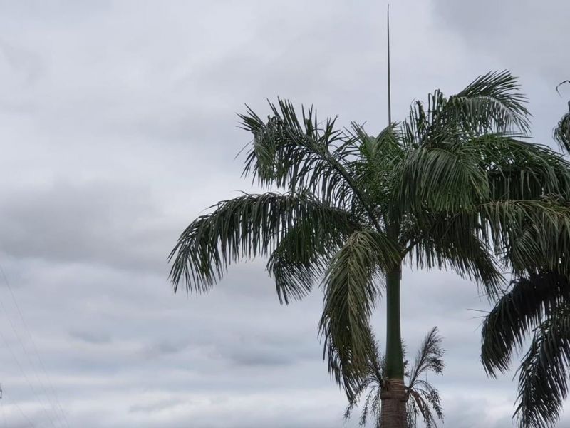 Frente fria derruba temperaturas em todo o país esta semana Frente fria derruba temperaturas em todo o país esta semana
