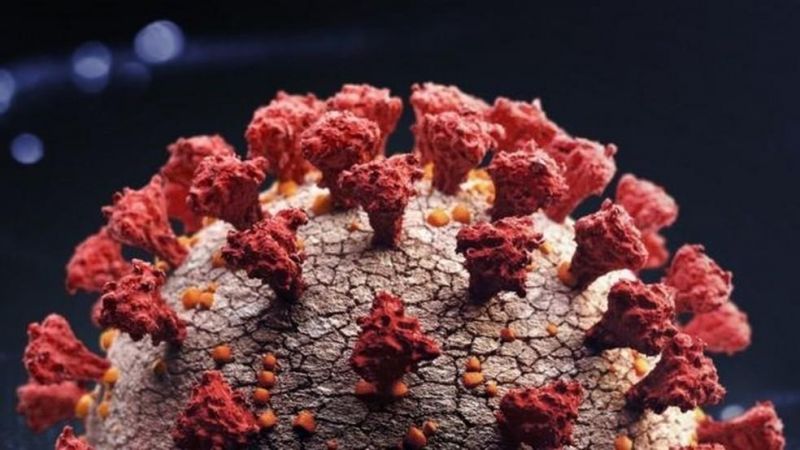 Governo confirma três pacientes com nova variante da Covid-19 em Rondônia Governo confirma três pacientes com nova variante da Covid-19 em Rondônia