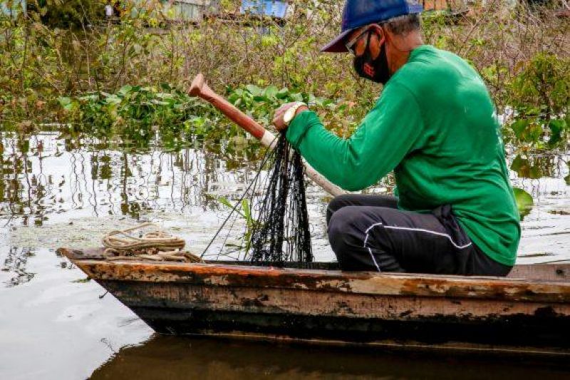 Sedam suspende até março de 2022 captura e transporte de oito espécies de peixes na maioria dos rios de Rondônia Sedam suspende até março de 2022 captura e transporte de oito espécies de peixes na maioria dos rios de Rondônia