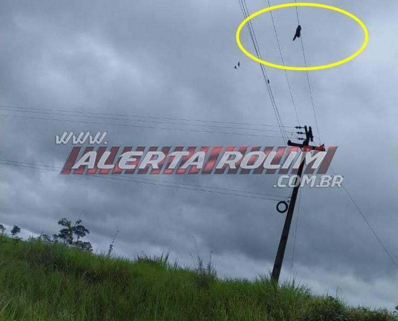 Perna de motociclista vai parar em fio de alta tensão após grave acidente na BR-429; veja o vídeo Perna de motociclista vai parar em fio de alta tensão após grave acidente na BR-429; veja o vídeo