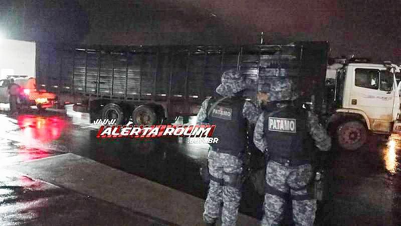 Mais de 01 tonelada de droga foi apreendida em operação realizada em Alto Alegre
