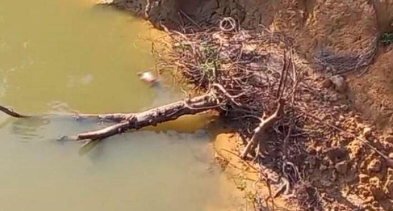 Corpo em decomposição, com pés e mãos amarrados é encontrado boiando próximo a Hidrelétrica de Jirau em Porto Velho Corpo em decomposição, com pés e mãos amarrados é encontrado boiando próximo a Hidrelétrica de Jirau em Porto Velho