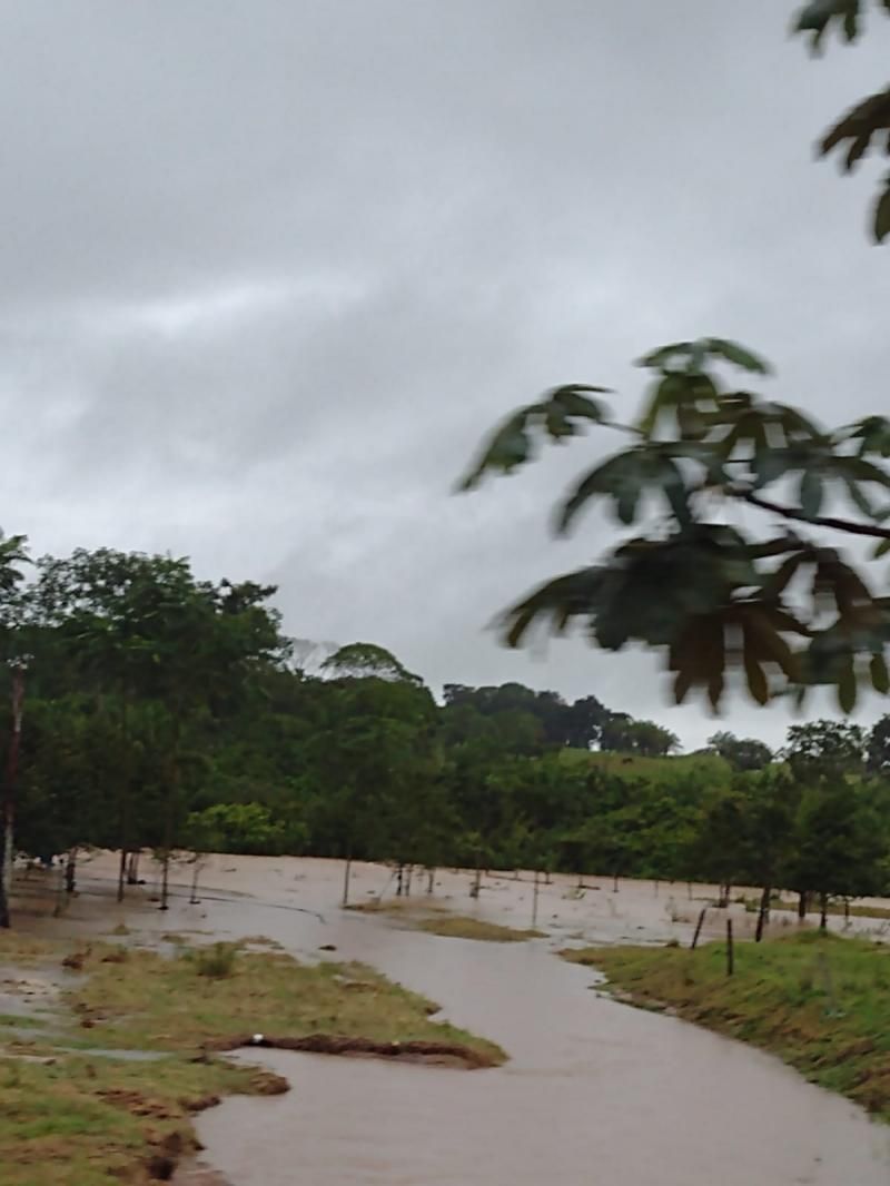 Forte chuvas deste fim de semana comprometeram pontes e bueiros, em Rolim de Moura Forte chuvas deste fim de semana comprometeram pontes e bueiros, em Rolim de Moura