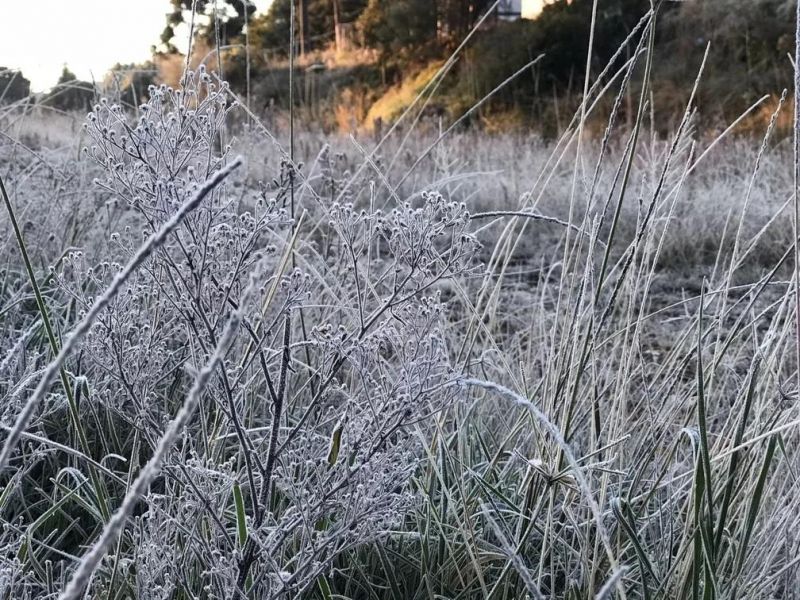 Cidades de SC registram mínima de -5,13ºC na madrugada desta sexta-feira; Onda de frio se espalhou pelo Brasil Cidades de SC registram mínima de -5,13ºC na madrugada desta sexta-feira; Onda de frio se espalhou pelo Brasil