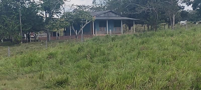 VENDE-SE: LINDA CHÁCARA EM ROLIM DE MOURA VENDE-SE: LINDA CHÁCARA EM ROLIM DE MOURA