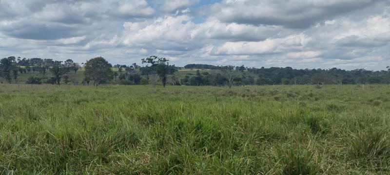 VENDE-SE: LINDA CHÁCARA EM ROLIM DE MOURA VENDE-SE: LINDA CHÁCARA EM ROLIM DE MOURA