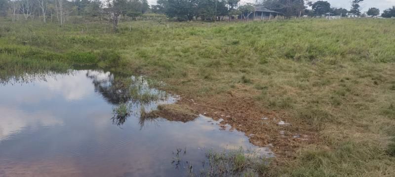 VENDE-SE: LINDA CHÁCARA EM ROLIM DE MOURA VENDE-SE: LINDA CHÁCARA EM ROLIM DE MOURA