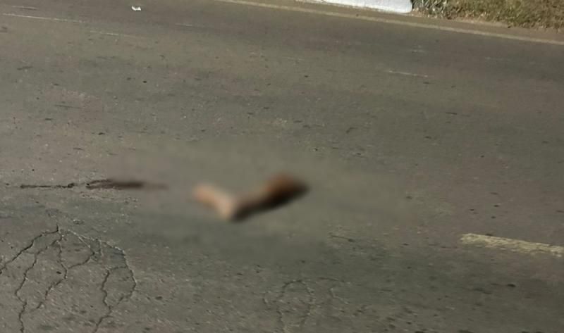Identificados: Três pessoas morrem em gravíssimo acidente entre carro e moto em Ariquemes; veja o vídeo Identificados: Três pessoas morrem em gravíssimo acidente entre carro e moto em Ariquemes; veja o vídeo