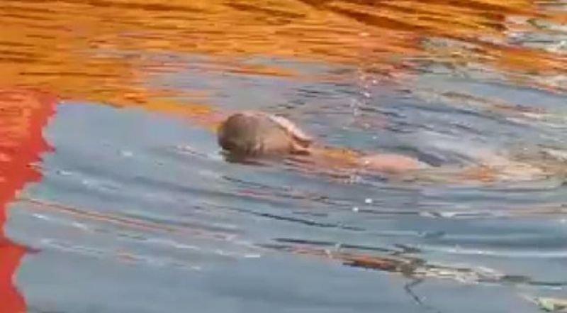 Homem é morto com tiro na cabeça e corpo é desovado em rio; veja o vídeo (imagens fortes) Homem é morto com tiro na cabeça e corpo é desovado em rio; veja o vídeo (imagens fortes)