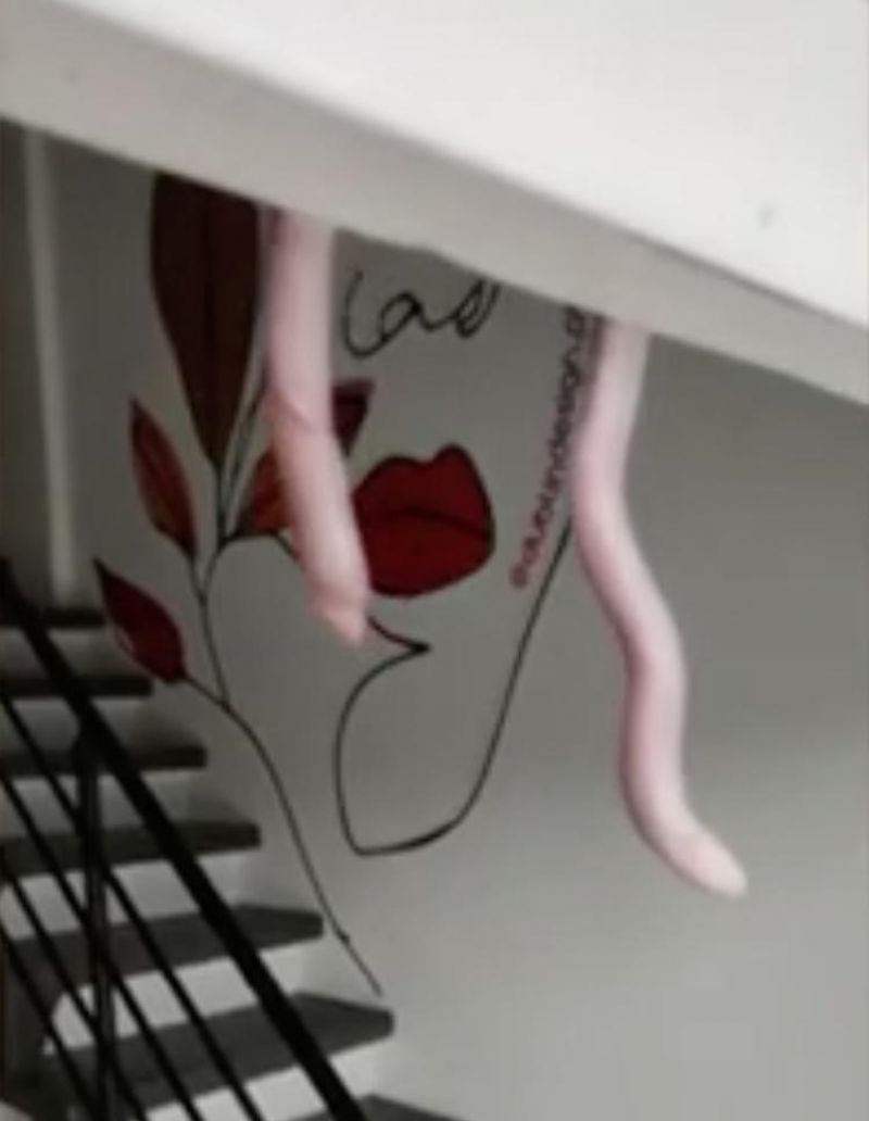 Comerciante vai abrir loja, confunde cobra com corda e toma o maior susto; veja o vídeo Comerciante vai abrir loja, confunde cobra com corda e toma o maior susto; veja o vídeo