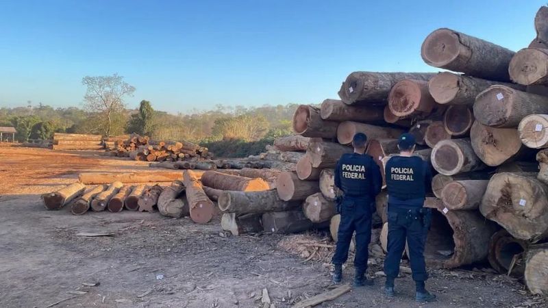 Grupo que falsificava documentos ambientais em sistemas do Governo é alvo da PF em RO Grupo que falsificava documentos ambientais em sistemas do Governo é alvo da PF em RO