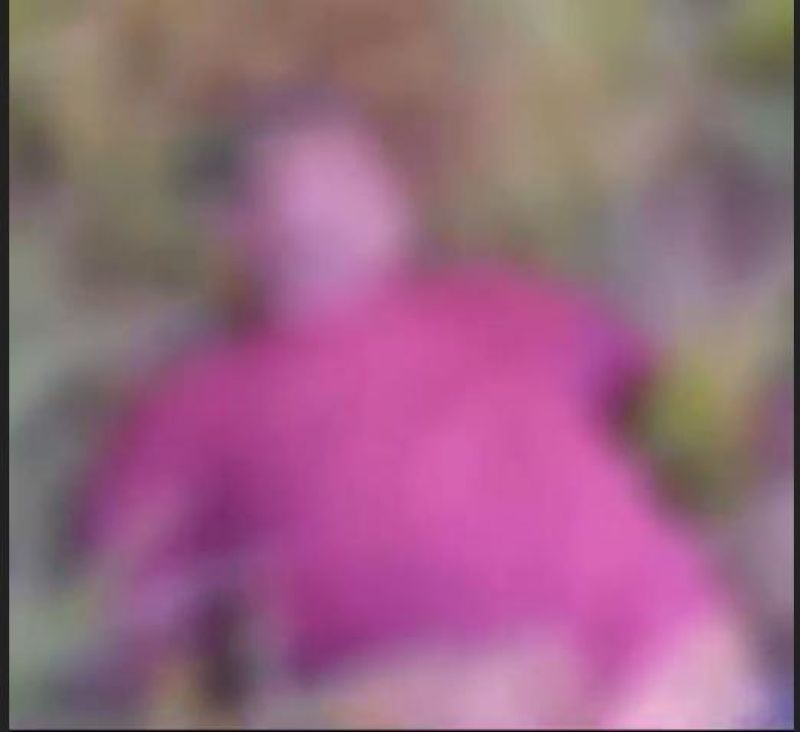 Homem morre atingido por raio em propriedade rural de MT; vídeo Homem morre atingido por raio em propriedade rural de MT; vídeo