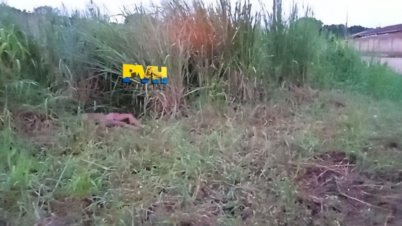 Travesti é arrastada e morta em matagal próximo de motel em Porto Velho Travesti é arrastada e morta em matagal próximo de motel em Porto Velho