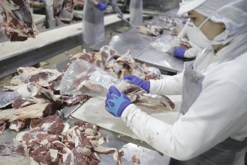 Rondônia recebe autorização para exportar carne bovina para o Canadá Rondônia recebe autorização para exportar carne bovina para o Canadá
