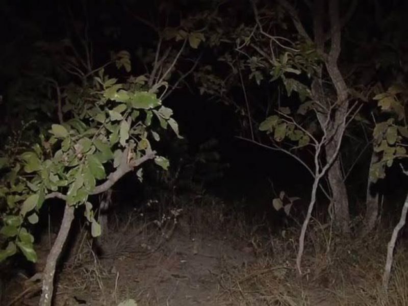 Mulher grita por socorro e escapa de ser abusada em terreno baldio Mulher grita por socorro e escapa de ser abusada em terreno baldio