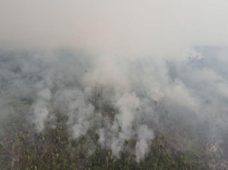 Incêndio em Parque Guajará-Mirim já destruiu área de quase 50 mil campos de futebol Incêndio em Parque Guajará-Mirim já destruiu área de quase 50 mil campos de futebol