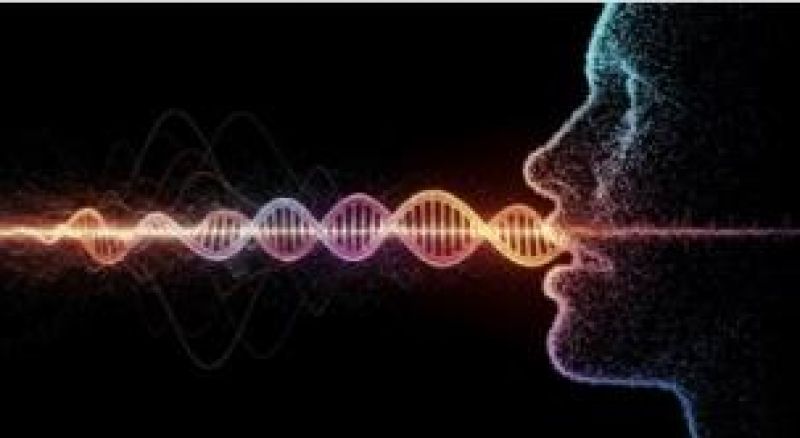 Ratos começam a ‘falar’ após receberem mutação genética que só humanos possuem Ratos começam a ‘falar’ após receberem mutação genética que só humanos possuem