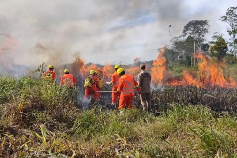 ACRE: Seleção aberta para brigadistas comunitários com 100 vagas ACRE: Seleção aberta para brigadistas comunitários com 100 vagas