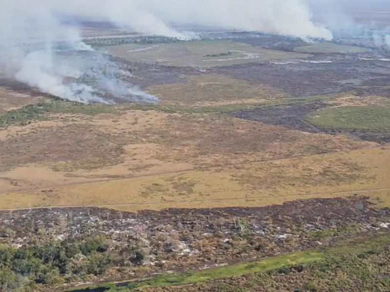 Amazônia: alerta de desmatamento cresce e mobiliza governo Amazônia: alerta de desmatamento cresce e mobiliza governo