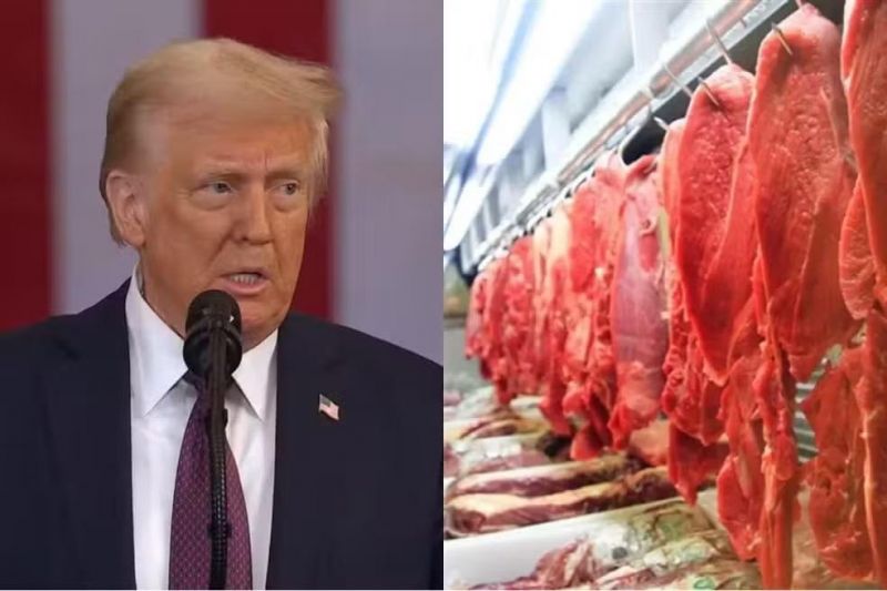 Tarifaço de Trump pode causar prejuízo milionário no PIB de RO; veja os produtos que serão taxados Tarifaço de Trump pode causar prejuízo milionário no PIB de RO; veja os produtos que serão taxados