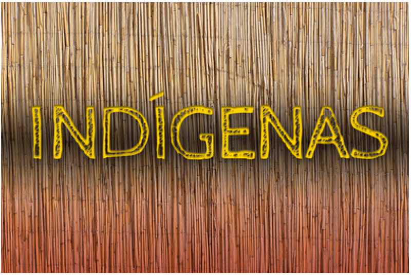 MPF recomenda à Funai dar visibilidade aos limites da Terra Indígena Sagarana, em Rondônia MPF recomenda à Funai dar visibilidade aos limites da Terra Indígena Sagarana, em Rondônia