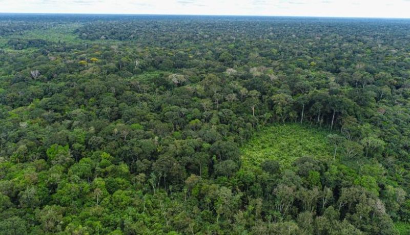STF garante orçamento para proteção ambiental em Rondônia após atuação do MPRO STF garante orçamento para proteção ambiental em Rondônia após atuação do MPRO