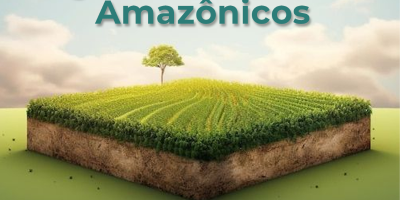 Inscrições abertas para mestrado em Agroecossistemas Amazônicos na UNIR em Rolim de... Inscrições abertas para mestrado em Agroecossistemas Amazônicos na UNIR em Rolim de...