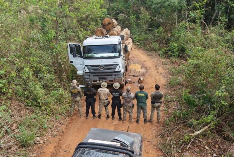 LIGNUM II: PF combate extração ilegal de madeira em terra indígena em Rondônia LIGNUM II: PF combate extração ilegal de madeira em terra indígena em Rondônia