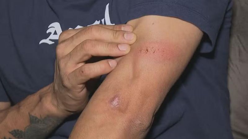 PORTO VELHO: Marido agredido pela esposa sai correndo e pede socorro em delegacia PORTO VELHO: Marido agredido pela esposa sai correndo e pede socorro em delegacia