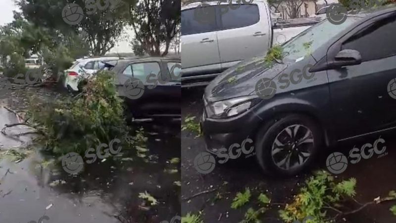 VILHENA: Vendaval provoca destruição e impede aeronave de pousar no município VILHENA: Vendaval provoca destruição e impede aeronave de pousar no município