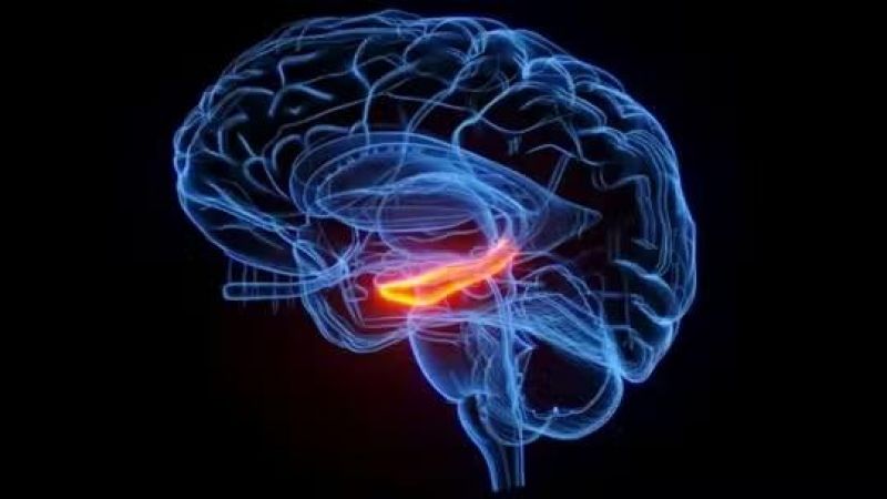 Dançar, pintar e até jogar videogame atrasa envelhecimento do cérebro Dançar, pintar e até jogar videogame atrasa envelhecimento do cérebro