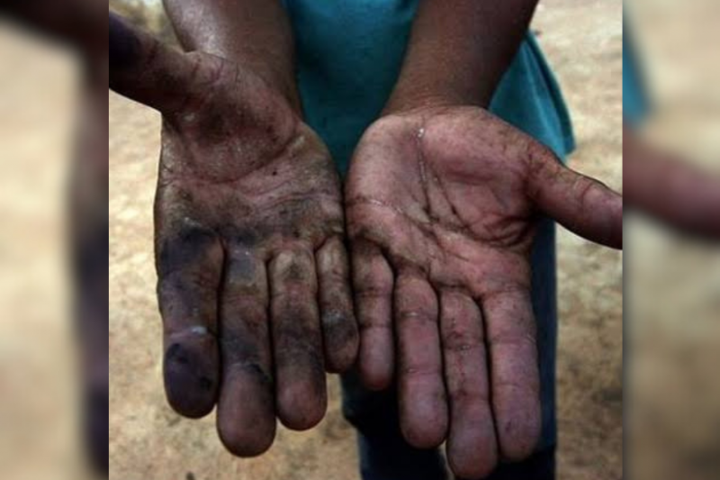 ESCRAVIDÃO: Rondônia foi listada 6 vezes em ESCRAVIDÃO: Rondônia foi listada 6 vezes em