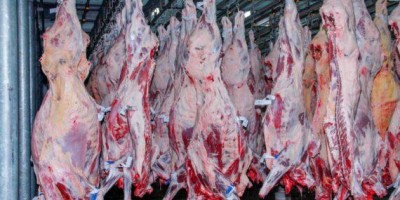 Referência em defesa sanitária agropecuária, Rondônia é destaque também no cenário... Referência em defesa sanitária agropecuária, Rondônia é destaque também no cenário...