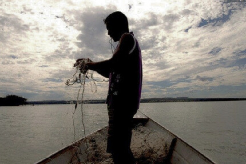 SUSPEITA DE FRAUDES: Ministério suspende 35 mil licenças de pescadores profissionais por fraude SUSPEITA DE FRAUDES: Ministério suspende 35 mil licenças de pescadores profissionais por fraude