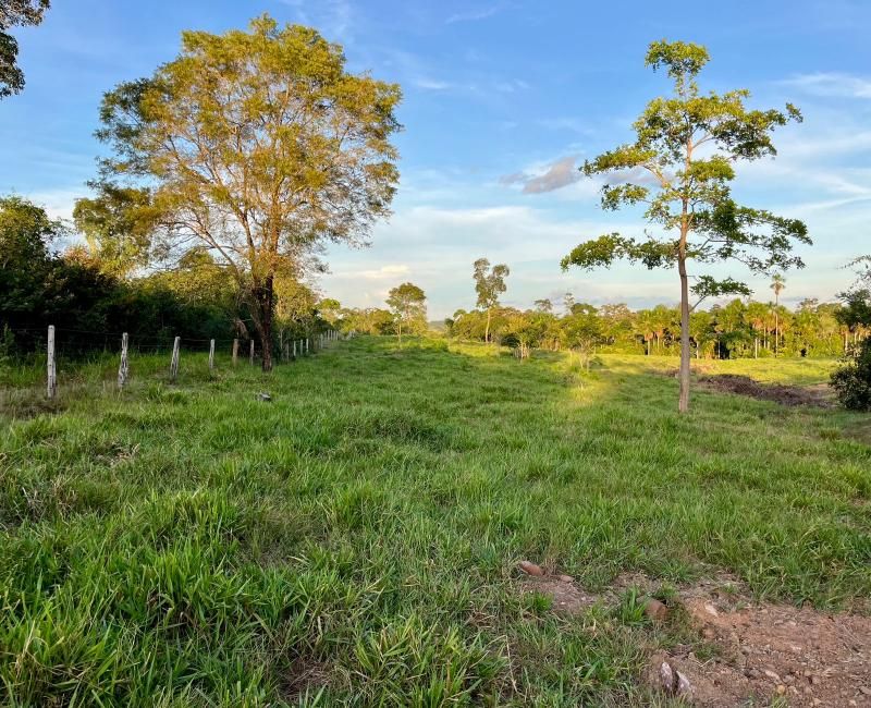 VENDE-SE - PROPRIEDADE RURAL EM ROLIM DE MOURA - 10 ALQUEIRES. VENDE-SE - PROPRIEDADE RURAL EM ROLIM DE MOURA - 10 ALQUEIRES.