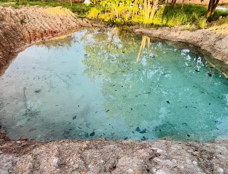 VENDE-SE - PROPRIEDADE RURAL EM ROLIM DE MOURA - 10 ALQUEIRES. VENDE-SE - PROPRIEDADE RURAL EM ROLIM DE MOURA - 10 ALQUEIRES.