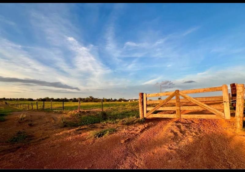 VENDE-SE - PROPRIEDADE RURAL EM ROLIM DE MOURA - 10 ALQUEIRES. VENDE-SE - PROPRIEDADE RURAL EM ROLIM DE MOURA - 10 ALQUEIRES.