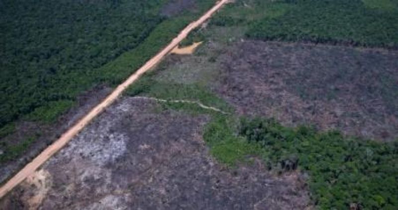 Vias ilegais perto da BR-319 avançam em áreas protegidas na Amazônia Vias ilegais perto da BR-319 avançam em áreas protegidas na Amazônia